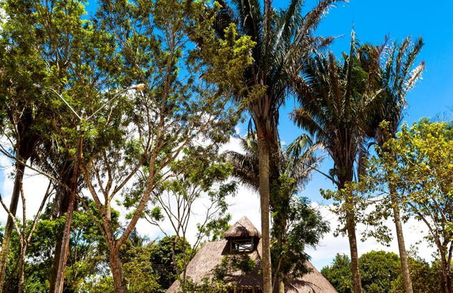 Belly Saw Tour, Quilombo dos Palmares - Photo 1